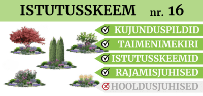 tootefoto SKEEM-16