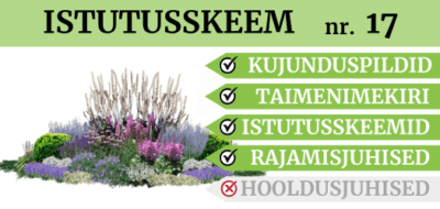 tootefoto SKEEM-17