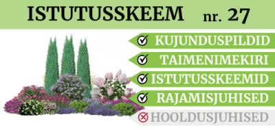 tootefoto SKEEM-27